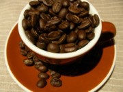 chocolada_beans