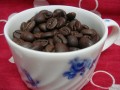 lapira_beans